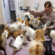 Image for article titled The real reason your pets are so addicted to their store-bought food